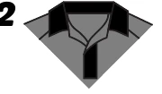 Polo hidden button